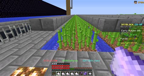 Farming Pumpkins and Sugarcane Guide – Hypixel Skyblock - Sirknightj