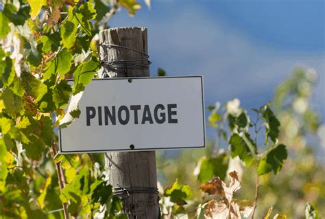 How to Find the Best Pinotage Wine - Vino Del Vida