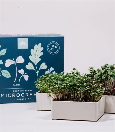 Organic Microgreens Growing Kit Microgreens Grow Kit | Etsy