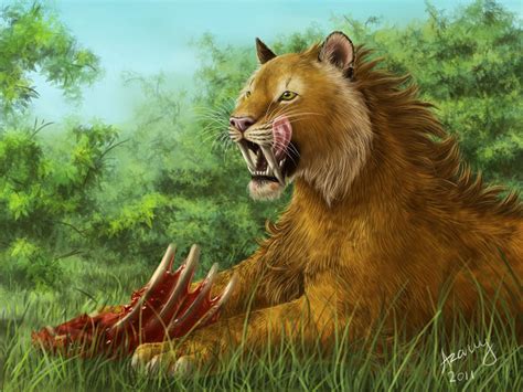 Saber-toothed tiger by Azany on DeviantArt