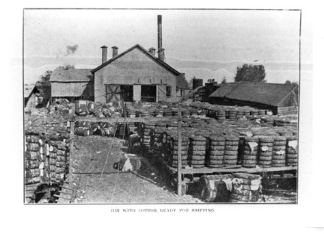 cotton gin – History Alive: Virtually!