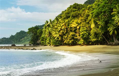 Osa Peninsula - Gaycations Costa Rica