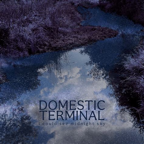 Domestic Terminal - I Could See Midnight Sky Lyrics and Tracklist | Genius