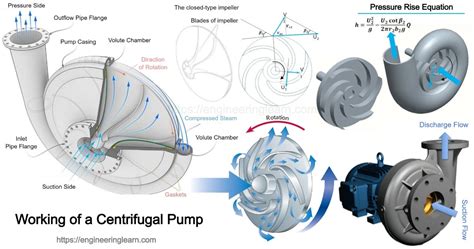 Working of a Centrifugal Pump - Engineering Learner