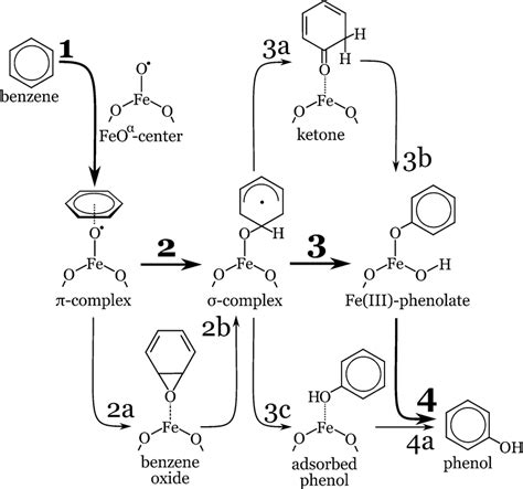 38 The route from benzene to phenol: the energetically favorable path... | Download Scientific ...