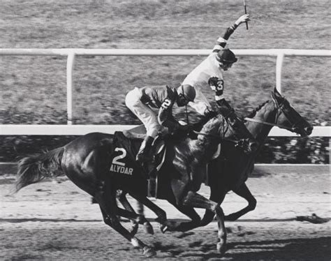 Affirmed Belmont 1978 | Triple Crown winners | Daily Racing Form