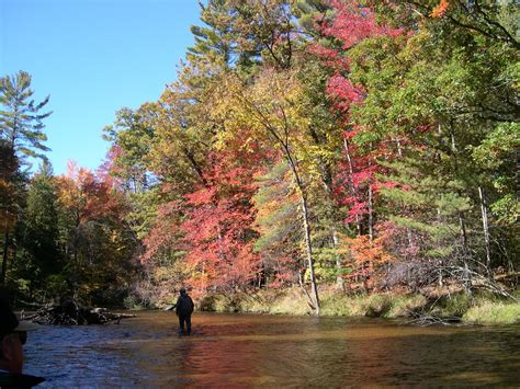 Fishing the Pere Marquette River | Michigan travel, Favorite places, Lake