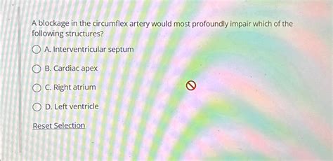 Solved A blockage in the circumflex artery would most | Chegg.com