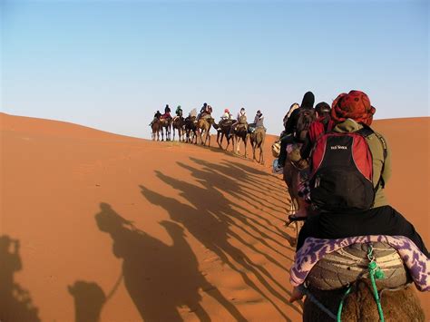 Download free photo of Africa,morocco,the sahara desert,caravan,free pictures - from needpix.com