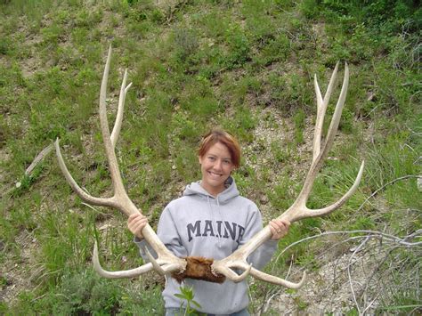 $500,000 Elk Antlers? [Not Shown] - The Truth About Guns