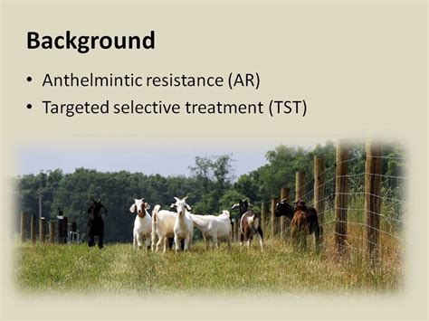 Parasite treatment practices | BackYardHerds - Goats, Horses, Sheep, Pigs & more