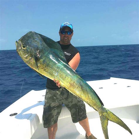 Islamorada Fishing Report, June 2017 - Robbie's of Islamorada