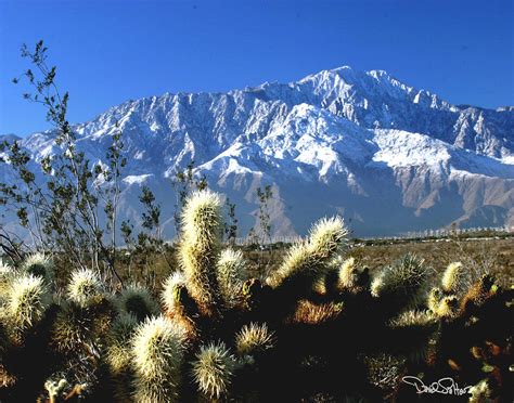 San Jacinto Mountain Photograph by David Salter