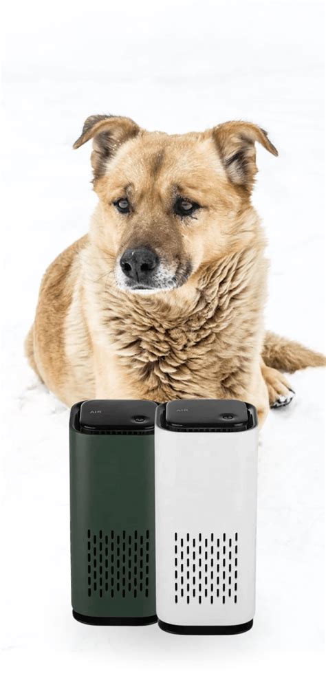 Best Pet Air Purifier – Puppy Mothers