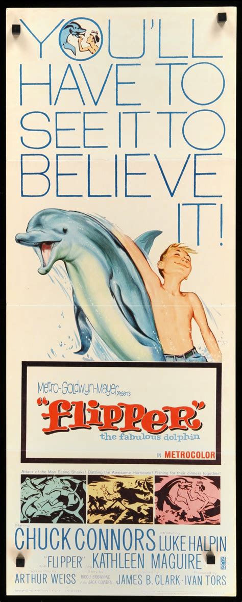 Flipper (1963) Original Insert Movie Poster - Original Film Art ...