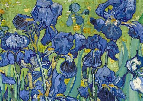 Vincent Van Gogh's Irises - A Closer Look - Draw Paint Academy