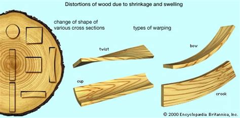 Bansal's Wiki: Defects in wood