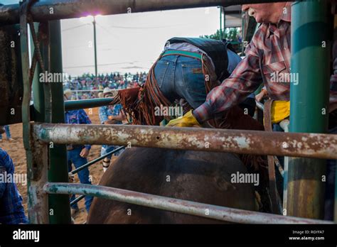 Texas rodeo cowboys Stock Photo - Alamy