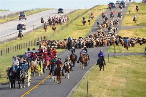 Best Rodeo Winners (2020) | USA TODAY 10Best