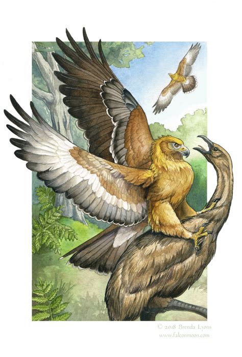 Haast's Eagle - Sixth Extinction Deck by windfalcon on DeviantArt