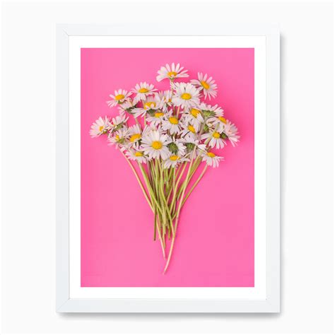 Daisies on Pink Art Print by Mariëlle Leenders - Fy