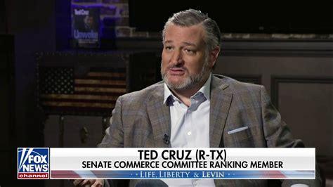 Ted Cruz on 2024 elections: 'We're going to face over $100 million ...