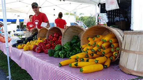 Sweet and Succulent: O.C. Farmers Market Opens for Summer | OCNJ Daily