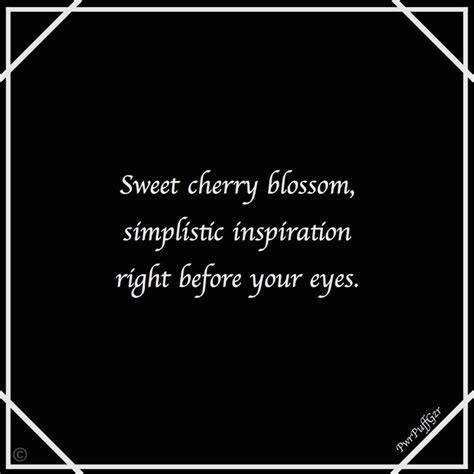 Haiku cherry blossom | Haiku, Poems, Words