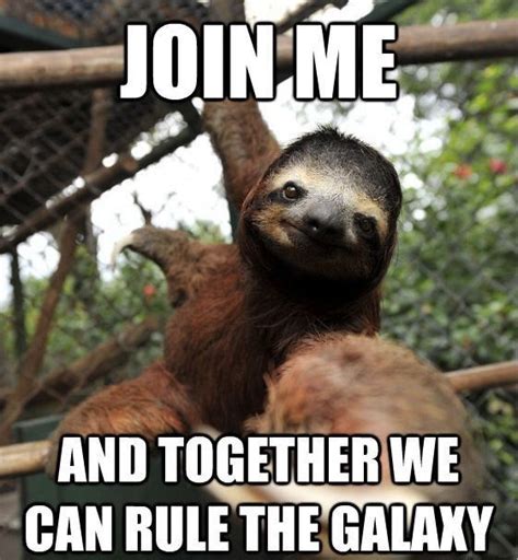 15 hilarious sloth memes to brighten your day - i can has cheezburger ...