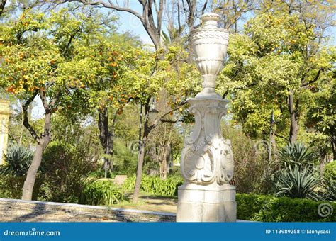 Orange Trees in Park of Seville Stock Photo - Image of outdoors, nature ...