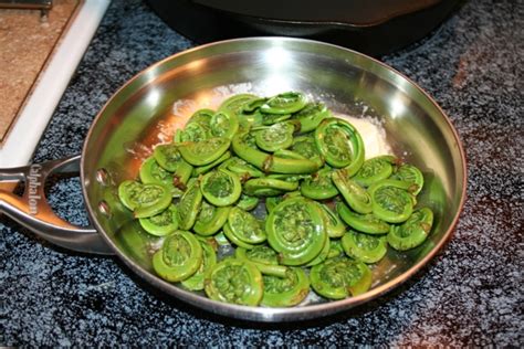 Fiddlehead Ferns Recipe With Bacon, Onions and Garlic | Physical Living