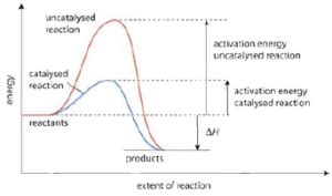 Molecularity of Reaction for Elementary and multi-step reactions