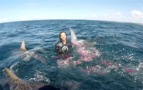 Blood turns the water to red as sharks move in on the bite victim ...