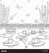 Pond Ecosystem Coloring Page Pages sketch template