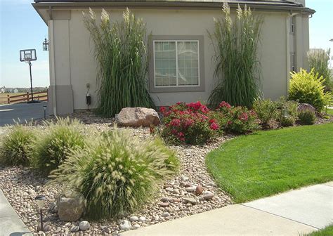 Xeriscaping, Planting, Plants, Design, Denver, Boulder Colorado