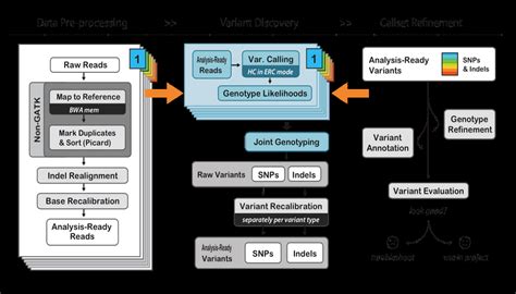 GATK Variant Calling Best Practices. The HaplotypeCaller takes in... | Download Scientific Diagram