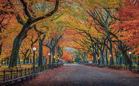 HD wallpaper: Autumn Colors In Nature Herbst Park New York City Usa 4k ...