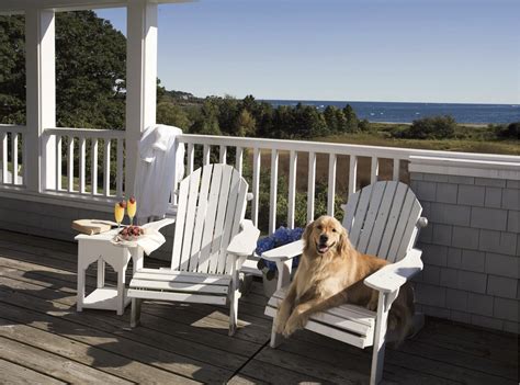 The Ultimate Guide to the Best of Maine | Dog friends, Dog friendly ...