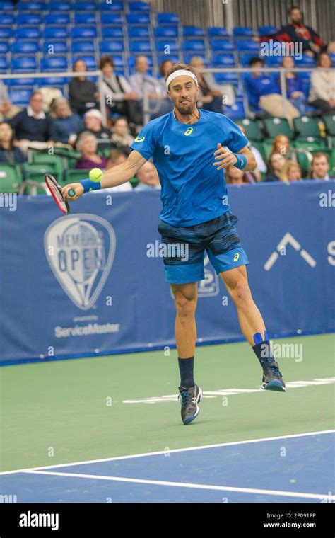 MEMPHIS, TN - FEBRUARY 13: Steve Johnson of the United States hits a forehand during the ATP ...