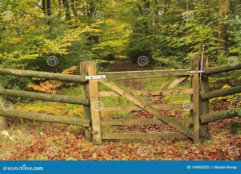 Forest Gate stock image. Image of natural, nature, green - 16905035