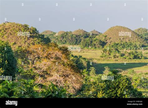 Geological formation The Chocolate Hills on Bohol island, Philippines ...