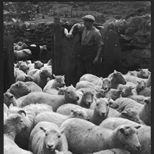 Welsh woman with spinning wheel, Wales Our beautiful pictures are ...