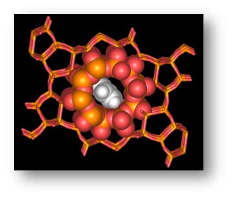 Catalyst Zeolite Nanopores Discovery May Lead to New Materials for Clean Energy and Carbon ...