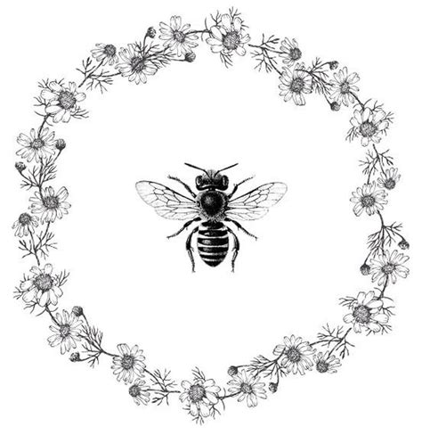 Bees clipart vintage, Bees vintage Transparent FREE for download on WebStockReview 2023