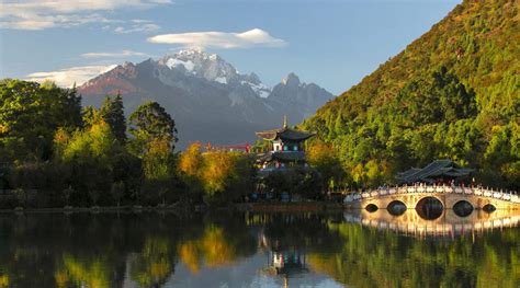 Jade Dragon Snow Mountain - Rare Plants & Animals Home | Trip Ways