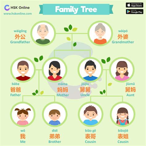 The family tree in Chinese (Part.1) | Mandarin chinese learning ...