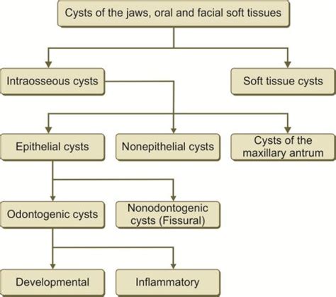 Classification Of Odontogenic Cyst