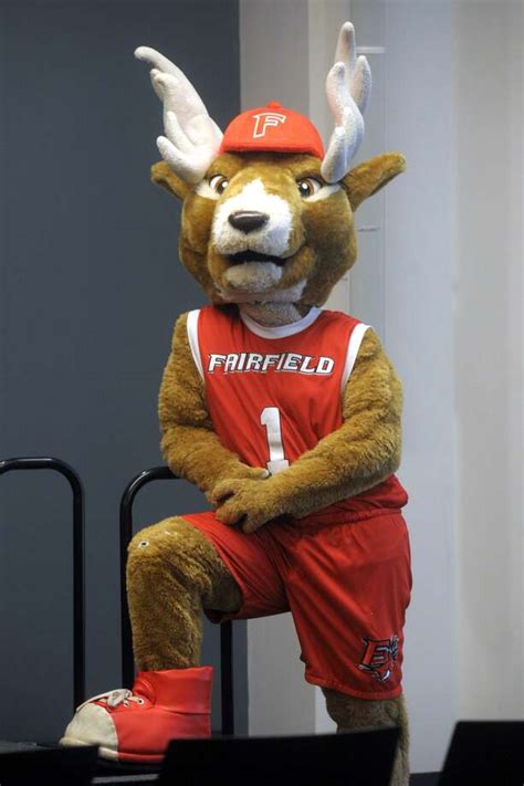 Fairfield Stags Mens Basketball - Connecticut Post