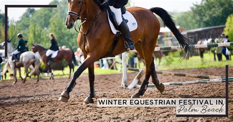 Winter Equestrian Festival in Palm Beach