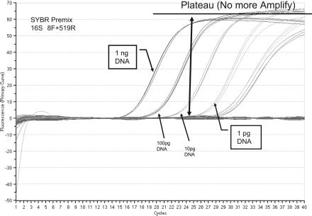 Real-time PCR amplification curve. | Download Scientific Diagram